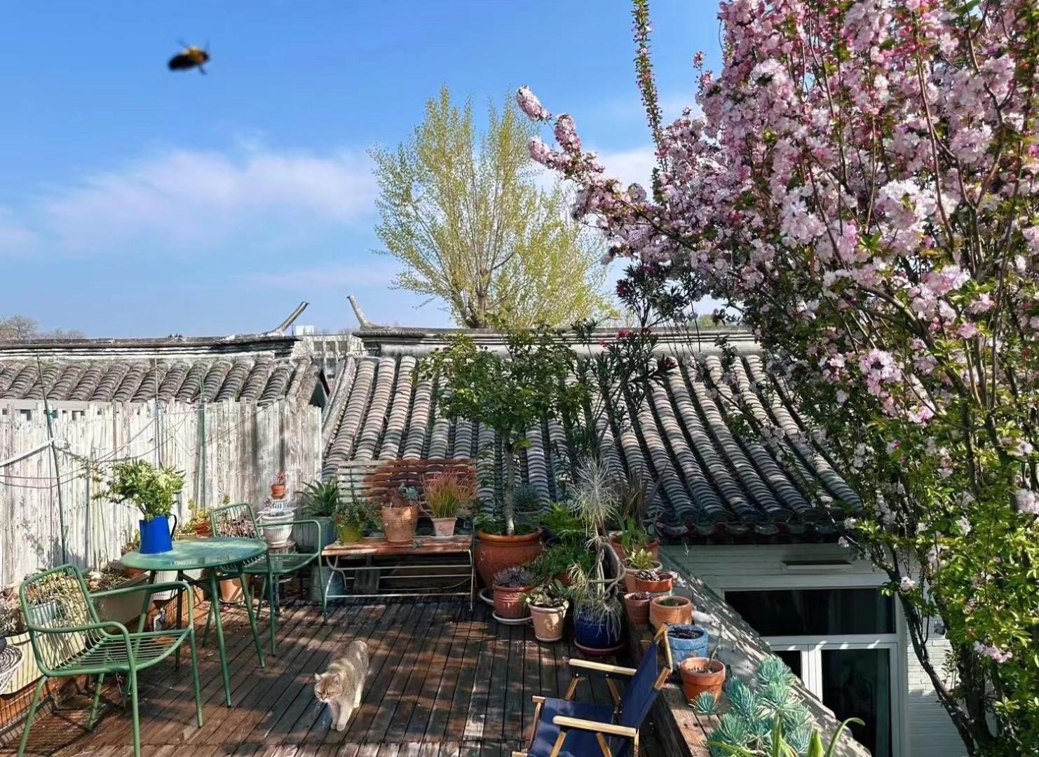 Peking Garden Boutique Hotel Экстерьер фото