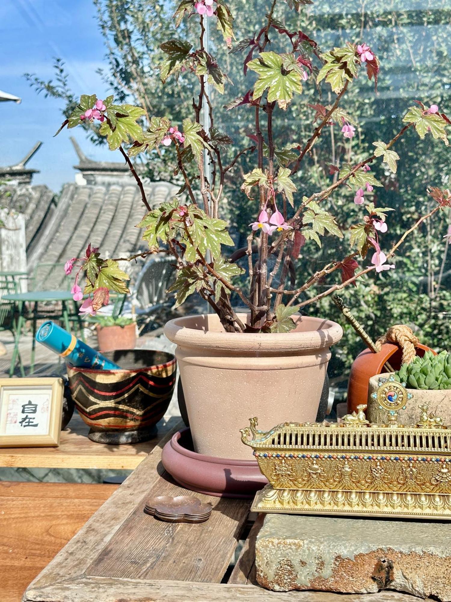 Peking Garden Boutique Hotel Экстерьер фото