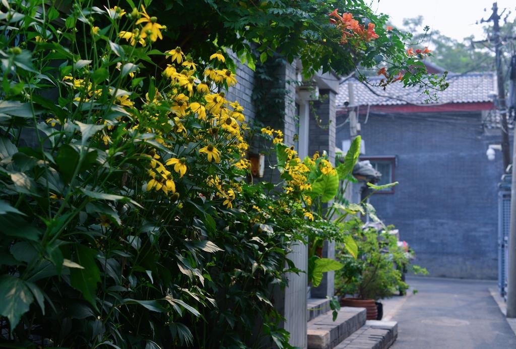 Peking Garden Boutique Hotel Экстерьер фото