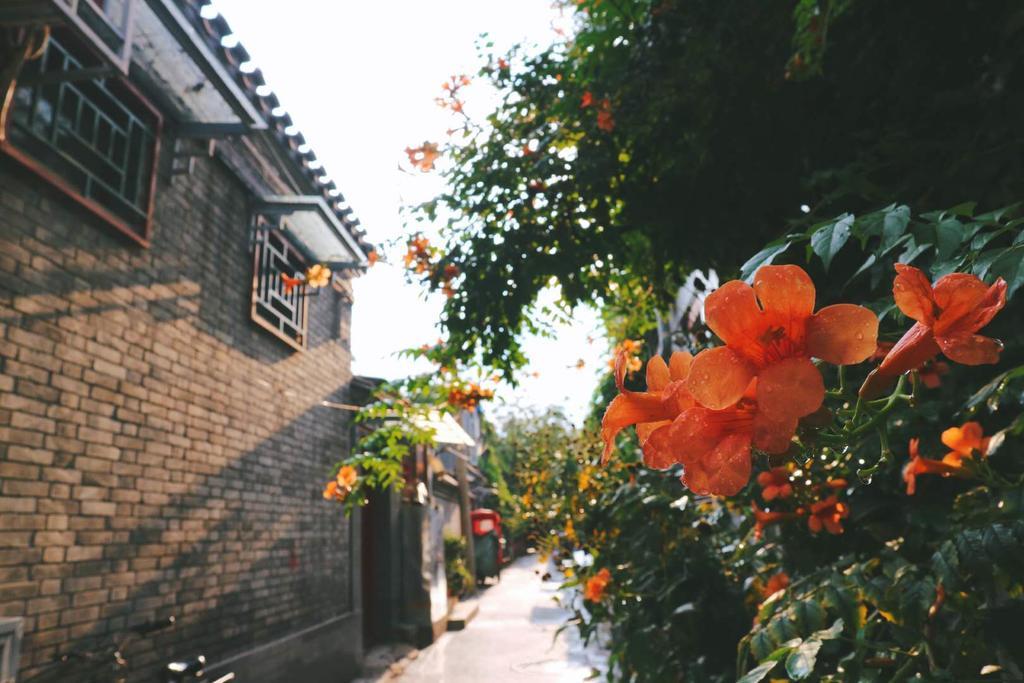 Peking Garden Boutique Hotel Экстерьер фото